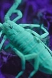 Nonton Film Alien Worlds Season 1 Episode 2 Terbaru