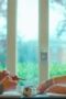 Nonton Film Prisma Season 1 Episode 2 Terbaru